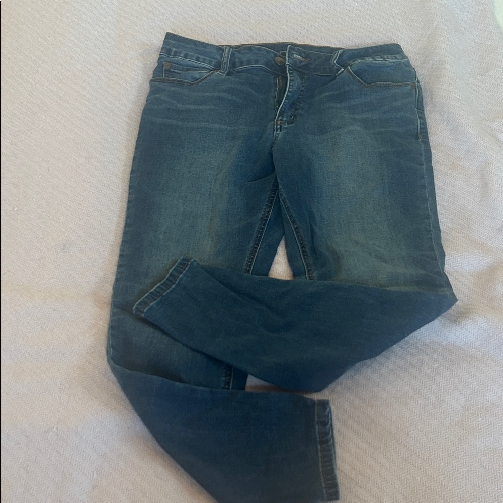 Tahari Stylish Blue Women's Skinny jeggings